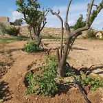 Villa Four Winds Birżebbuġa