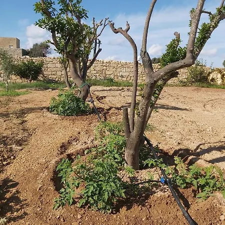别墅 Four Winds Birżebbuġa