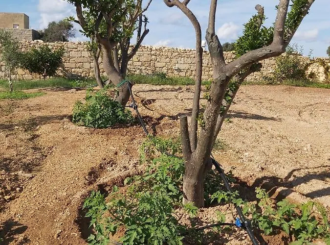 Villa Four Winds Birżebbuġa